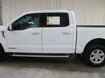 2024 F-150 Thumbnail 6
