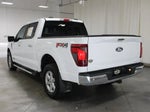 2024 F-150 Thumbnail 7