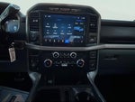2024 F-150 Thumbnail 10