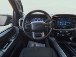 2024 F-150 Thumbnail 11