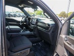 2024 F-150 Thumbnail 10