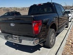 2024 F-150 Thumbnail 8