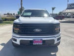 2024 F-150 Thumbnail 3