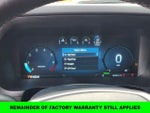 2024 F-150 Thumbnail 14