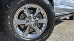 2024 F-150 Thumbnail 9