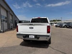 2024 F-150 Thumbnail 5