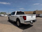 2024 F-150 Thumbnail 6