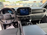 2024 F-150 Thumbnail 10