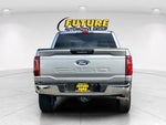 2024 F-150 Thumbnail 5