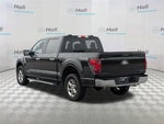 2024 F-150 Thumbnail 6