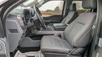 2024 F-150 Thumbnail 8