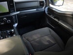 2024 F-150 Thumbnail 14