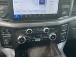 2024 F-150 Thumbnail 8