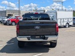 2024 F-150 Thumbnail 4