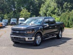 2024 F-150 Thumbnail 7