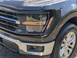 2024 F-150 Thumbnail 9