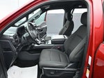 2024 F-150 Thumbnail 11