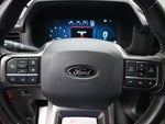 2024 F-150 Thumbnail 13