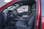 2024 F-150 Thumbnail 14