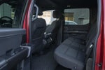 2024 F-150 Thumbnail 18