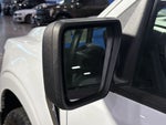 2025 F-150 Thumbnail 11