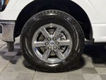 2025 F-150 Thumbnail 13
