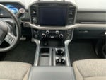 2025 F-150 Thumbnail 17