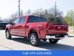 2025 F-150 Thumbnail 4