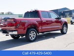 2025 F-150 Thumbnail 6