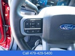 2025 F-150 Thumbnail 27