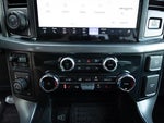 2025 F-150 Thumbnail 19