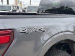 2025 F-150 Thumbnail 8