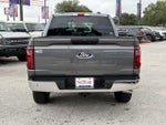 2025 F-150 Thumbnail 10