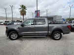 2025 F-150 Thumbnail 12