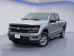 2025 F-150 Thumbnail 2