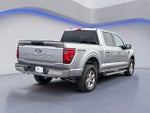 2025 F-150 Thumbnail 7