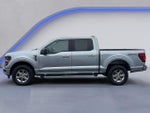 2025 F-150 Thumbnail 8