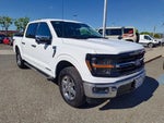 2025 F-150 Thumbnail 1