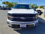 2025 F-150 Thumbnail 2