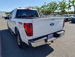 2025 F-150 Thumbnail 4