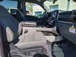 2025 F-150 Thumbnail 14