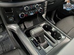 2026 F-150 Thumbnail 18