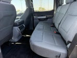 2024 F-150 Thumbnail 8