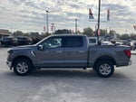 2024 F-150 Thumbnail 6