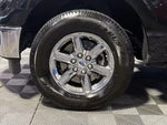 2024 F-150 Thumbnail 13