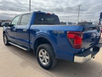 2024 F-150 Thumbnail 6