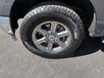 2024 F-150 Thumbnail 12