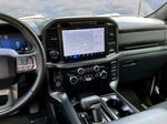 2024 F-150 Thumbnail 12