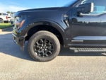 2024 F-150 Thumbnail 9