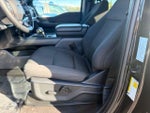 2024 F-150 Thumbnail 11